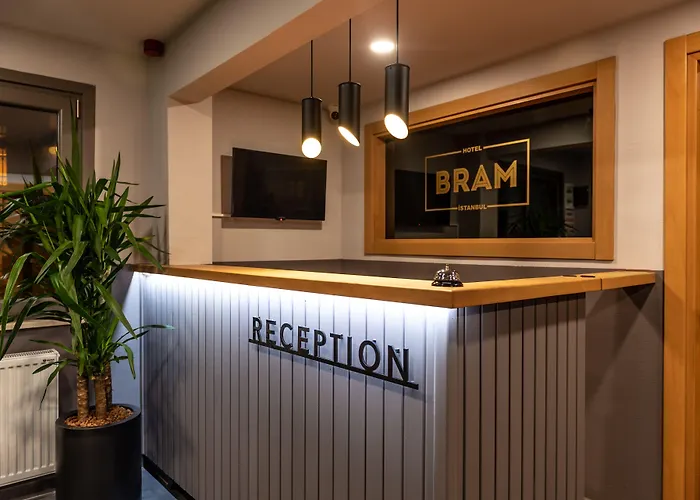 Bram 伊斯坦布尔